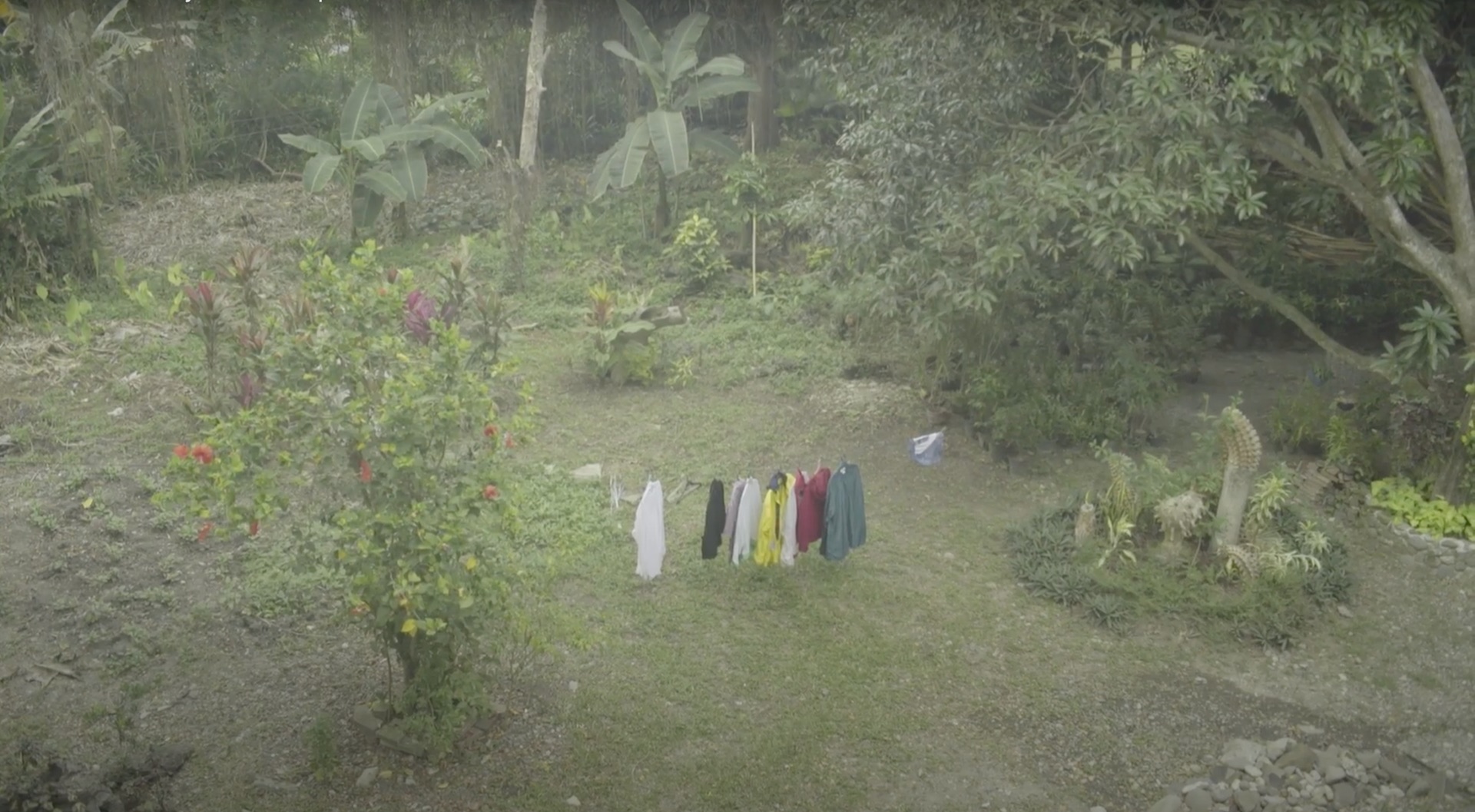 Still from John Torres's work